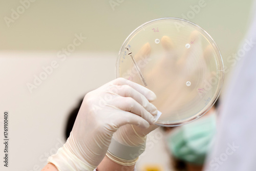 Tapet Sterile glove petri dish antibiotic test laboratory science microbiology healthc