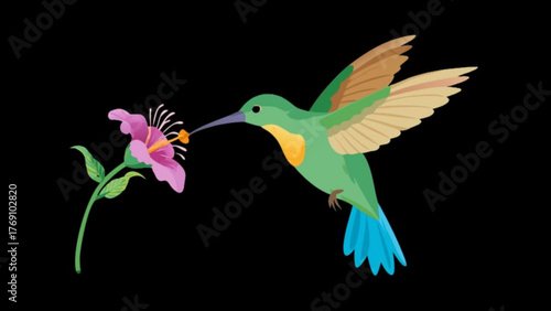 A vibrant hummingbird sips nectar from a delicate pink flower, its wings a blur of motion against the stark, a moment of natures beauty