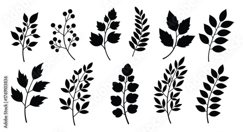 Collection of decorative black silhouettes of various plant branches and leaves on a white background.