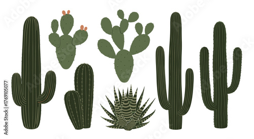 Collection of various desert cactus plants illustrated in a flat design style.