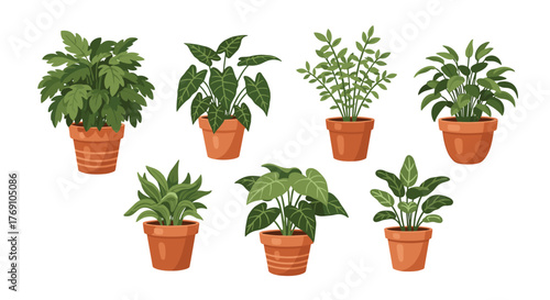 A collection of seven potted green houseplants arranged on a white background.