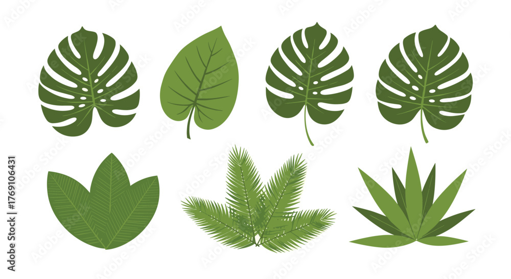 Obraz premium Collection of various green tropical leaves and plants with white background.