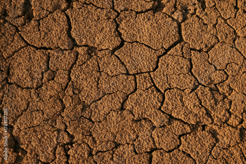 Dried and cracked terrain on the surface of Mars