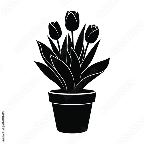 Black silhouette of potted tulips on white background