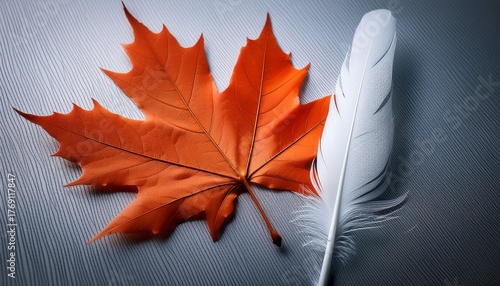White Feather And Orange Maple Leaf National Day For Truth And Reconciliation In Canada