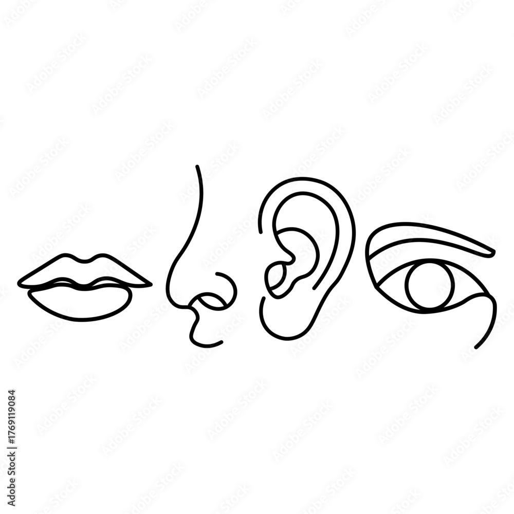 Obraz premium Minimalist Line Art of Human Facial Features