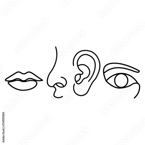 Minimalist Line Art of Human Facial Features