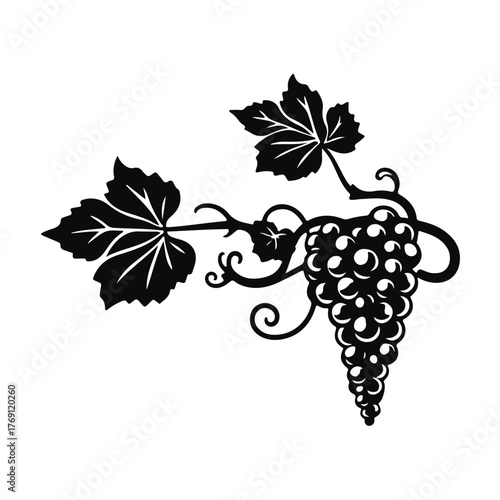 Grapes bunch illustration, vineyard fruit drawing, wine grapes art, grapevine leaves sketch, vintage grape cluster for design and decoration