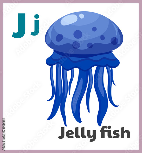 Jelly Fish letter J english alphabet card children