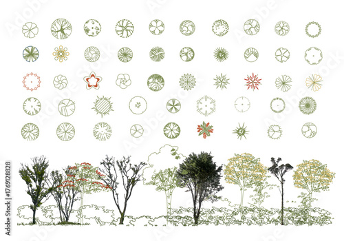 Top View Vector Icons of Trees and Plants for Floor Plan and Architectural Design Projects. CAD Drawings. Minimal style cad tree line side view. Garden landscape design. 