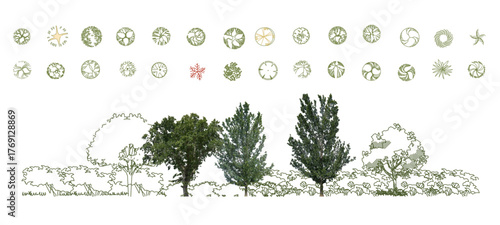 Top View Vector Icons of Trees and Plants for Floor Plan and Architectural Design Projects. CAD Drawings. Minimal style cad tree line side view. Garden landscape design. 