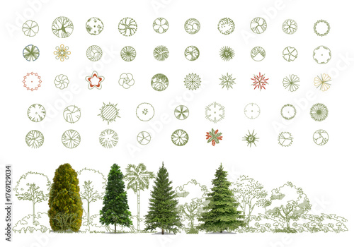 Top View Vector Icons of Trees and Plants for Floor Plan and Architectural Design Projects. CAD Drawings. Minimal style cad tree line side view. Garden landscape design. 
