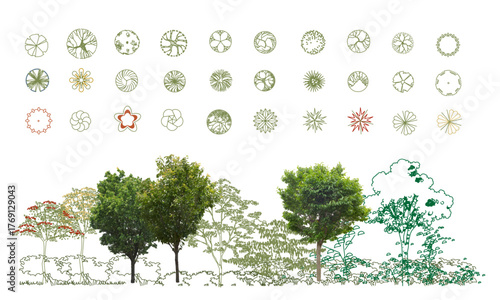 Top View Vector Icons of Trees and Plants for Floor Plan and Architectural Design Projects. CAD Drawings. Minimal style cad tree line side view. Garden landscape design. 