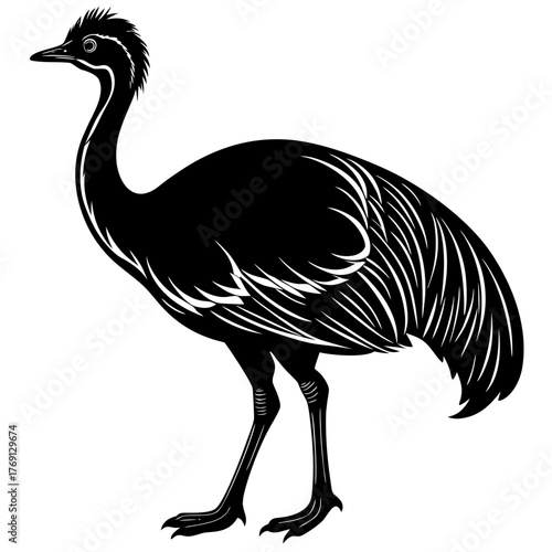 Black silhouette of an emu bird with white feather details