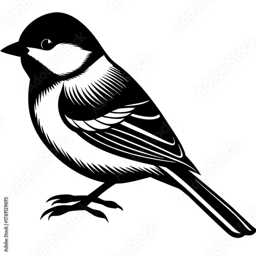 Stylized black and white illustration of a great tit bird