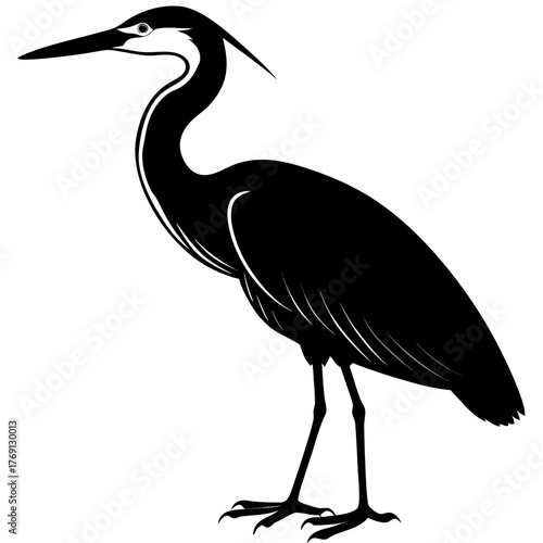 Black silhouette of a heron standing on a white background