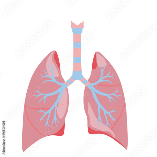 Pneumonia Illustration
