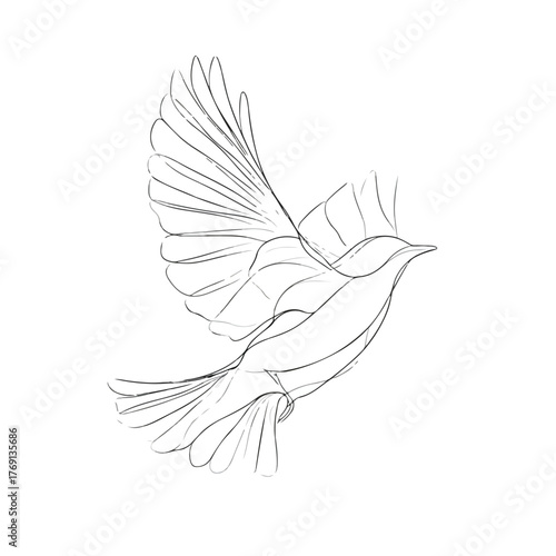 Sleek Single Line Bird Flying Illustration