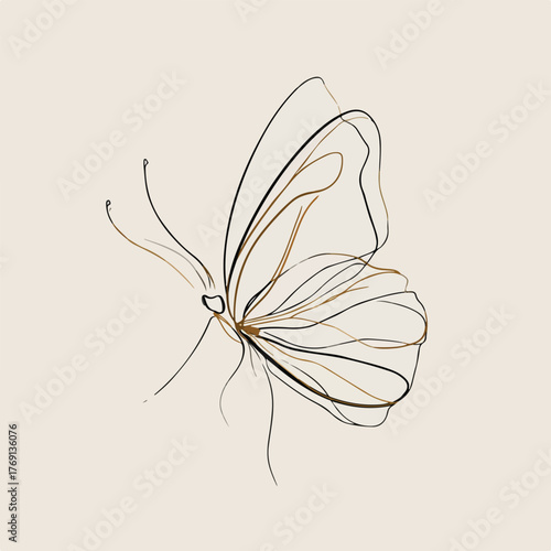 Elegant Butterfly Line Art Illustration