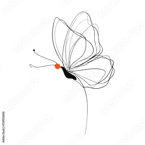 Elegant Butterfly in Abstract Continuous Line
