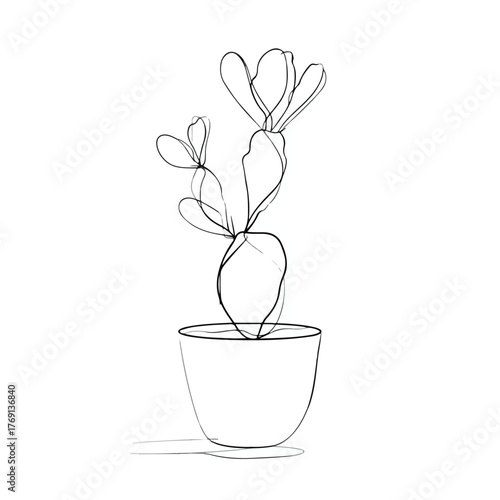 Elegant Cactus Line Art Illustration