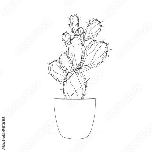 Elegant single-line cactus illustration