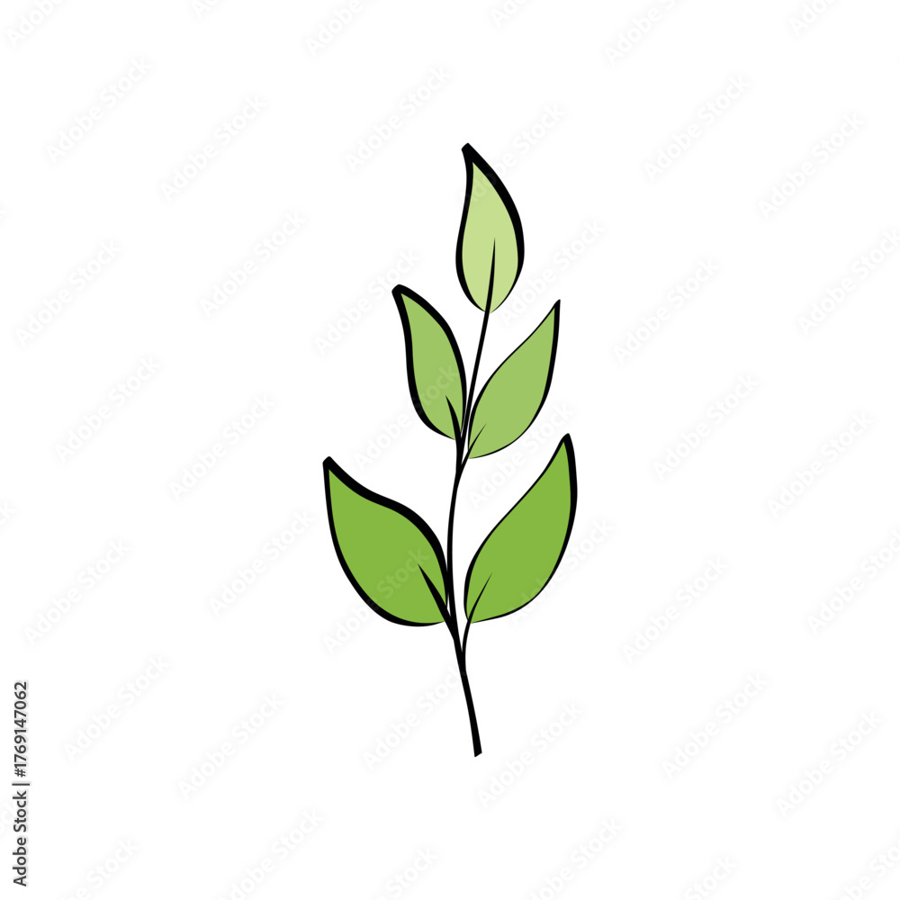 Fototapeta premium Botanical vector branch with green leaves