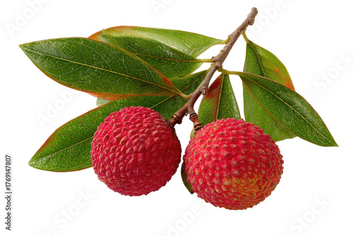 Two litchi fruits hang from branch with lush green leaves