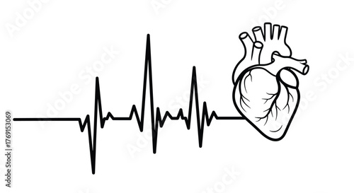 Electrocardiogram heartbeat line merging with an anatomical human heart illustration, symbolizing life and health.