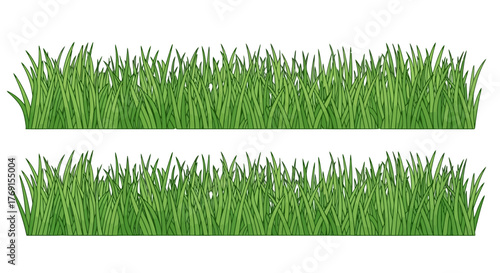 Two rows of vibrant green grass isolated on a white background
