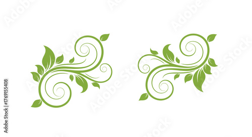 Two green floral swirls with leaves a decorative botanical design element