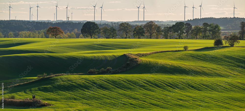 Fototapeta premium Intensely green fields contrasting with the autumn colors of trees in Brandenburg, Germany