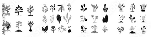 Set of hand drawn black and white icons depicting plant seeds and sprouts