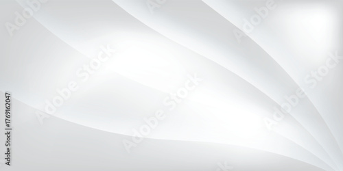 gray and white abstract background modern vector illustration