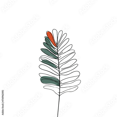 Elegant single line fern leaf illustration