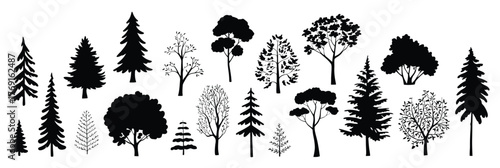 Adobe ISet of detailed tree shape silhouettes including conifer, deciduous, woodland and park trees, natural botanical design elements for forest scenery, green environment concepts,llustrator Artwork
