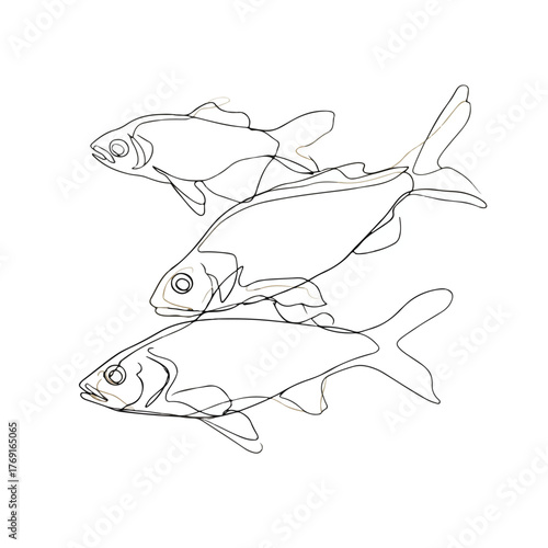 Elegant Fish in Single Line Minimalism
