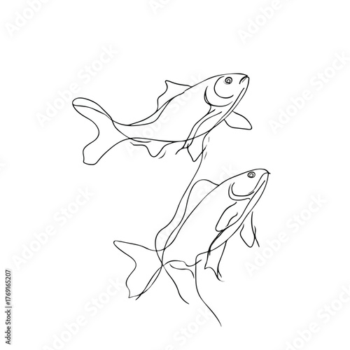 Elegant fish in continuous line art