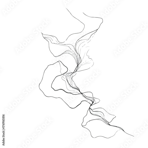 Elegant Fluid Organic Shapes in Continuous Line