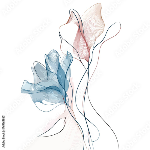 Elegant continuous line art of abstract fluid shapes