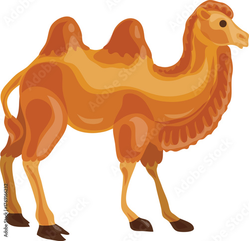 Bactrian camel, desert animal, camel vector illustration
