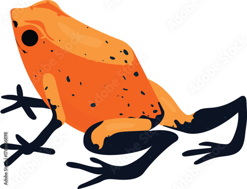 Poison dart frog wild Exotic animal