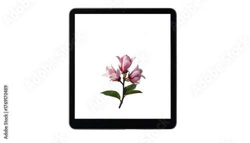 Pink magnolia blossom on a white tablet screen