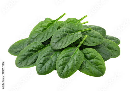 Tableau sur toile Isolated raw spinach leaves, fresh baby spinach salad ingredient, leafy vegetabl