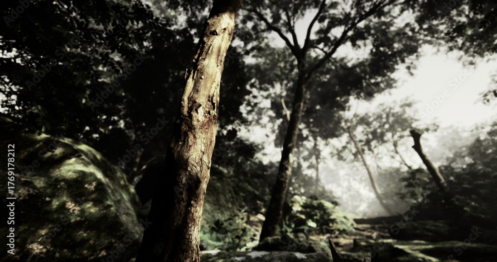 Fototapeta premium Sunlight filters through lush treetops, casting gentle shadows on the rich greenery. The tranquility of the forest invites exploration and reflection in this peaceful natural paradise.