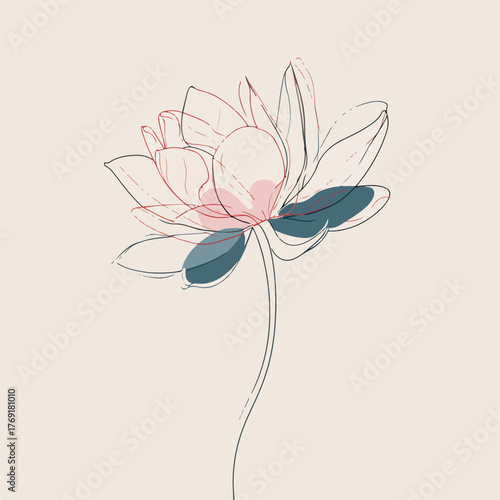 Elegant Lotus Line Art Illustration