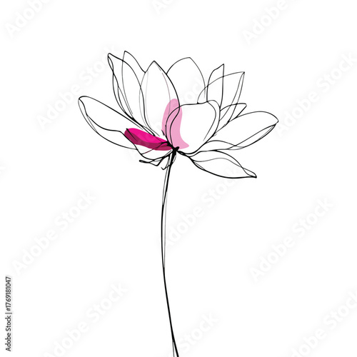 Elegant Lotus Flower Continuous Line Art