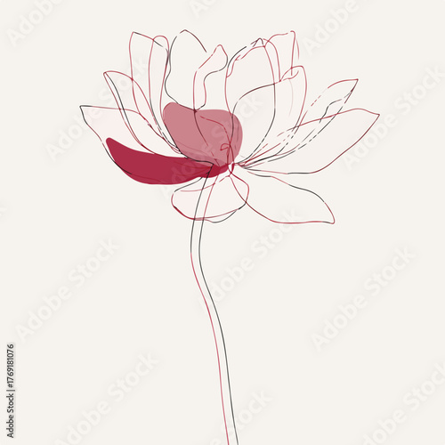 Elegant single-line Lotus flower illustration