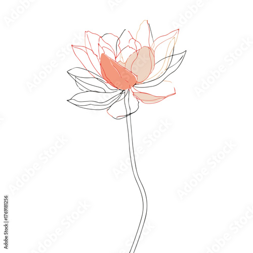 Elegant One-Liner Lotus Flower Vector Illustration
