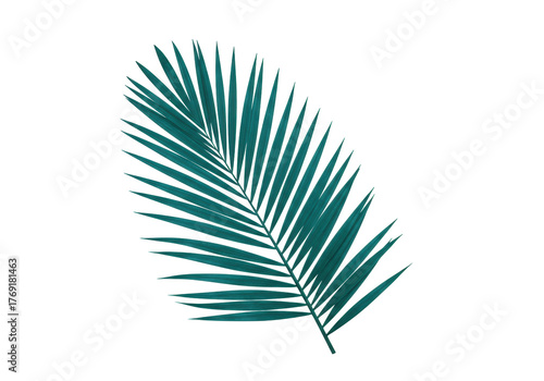 Obraz na plátně Isolated green frond of a palm tree against a seamless backdrop, suitable for cr
